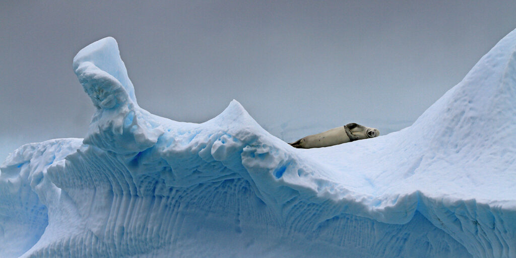 Antarctica Photographer Portfolio Website Header - Theo Allan